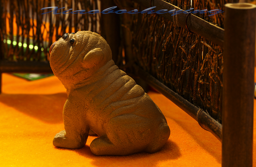 20131013_8132.jpg