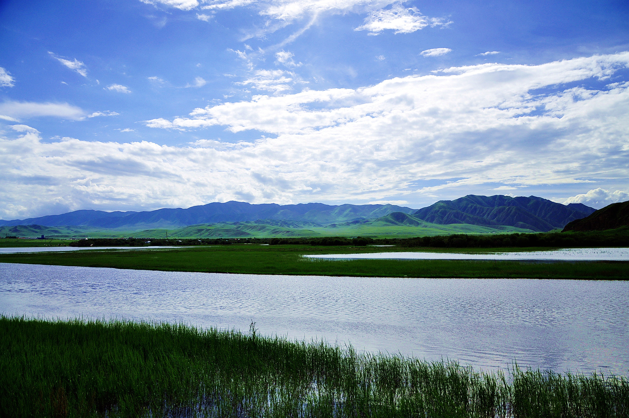 甘南之行 043.jpg