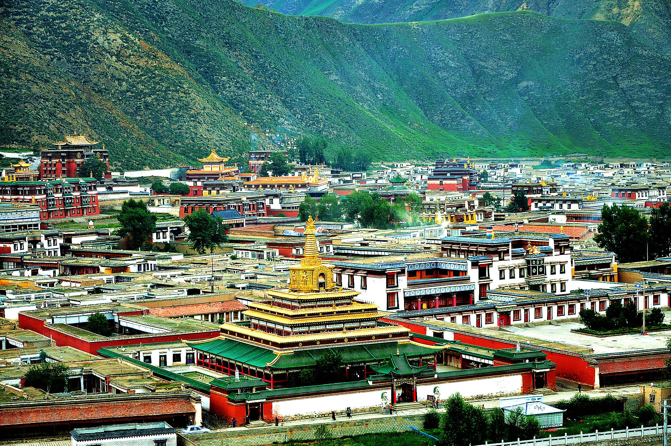 甘南之行 150.jpg