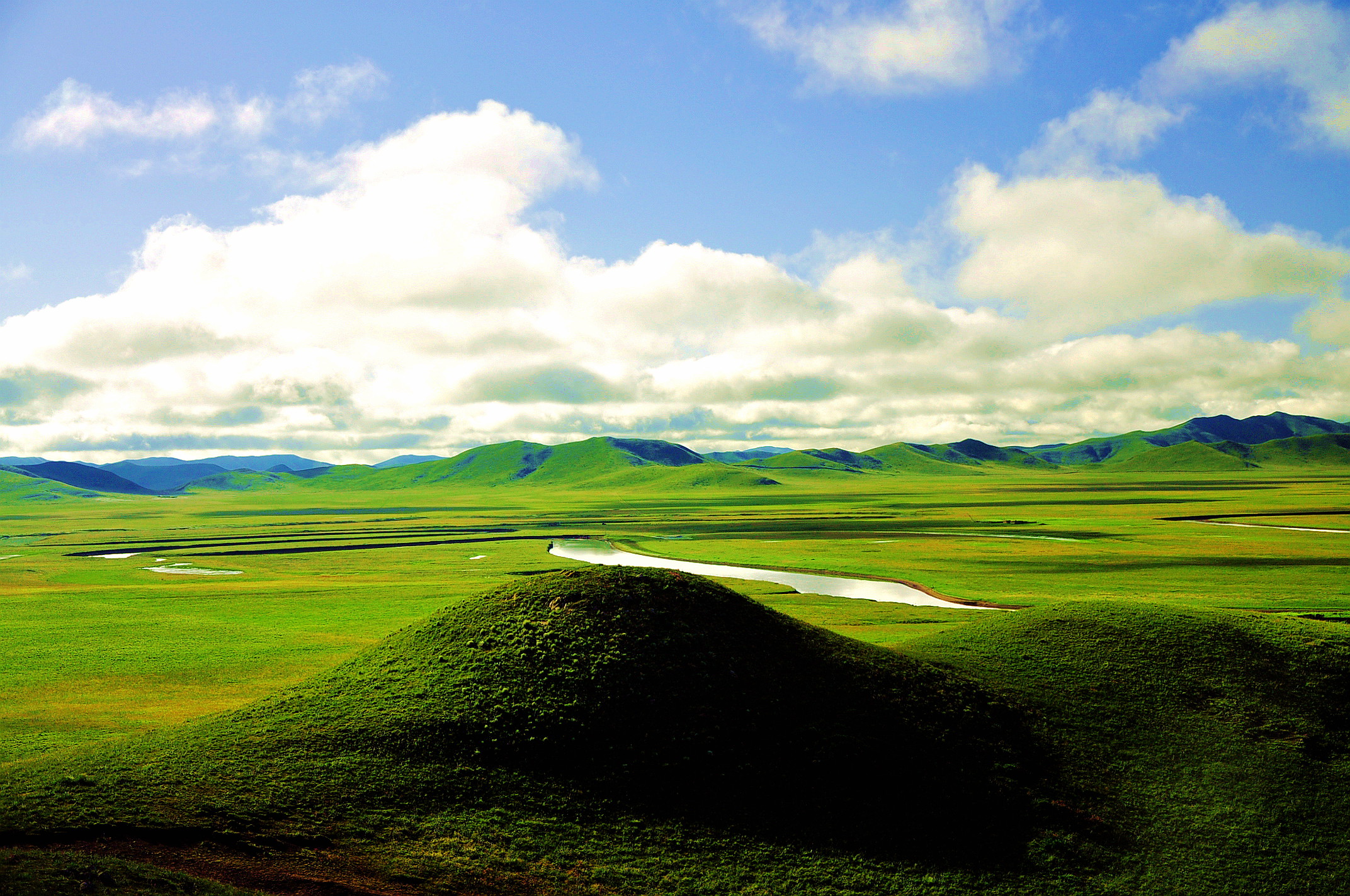 甘南之行 234.jpg