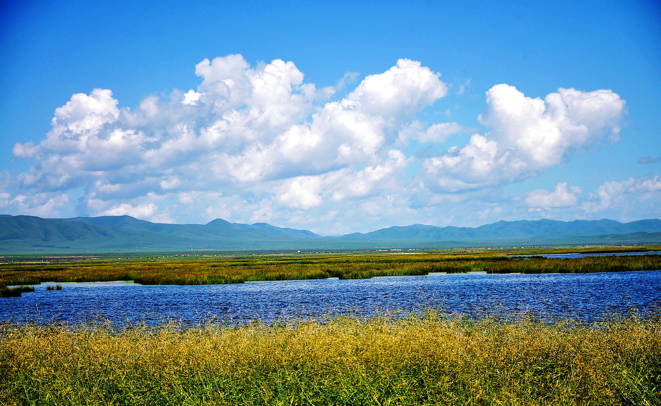 甘南之行 404.jpg