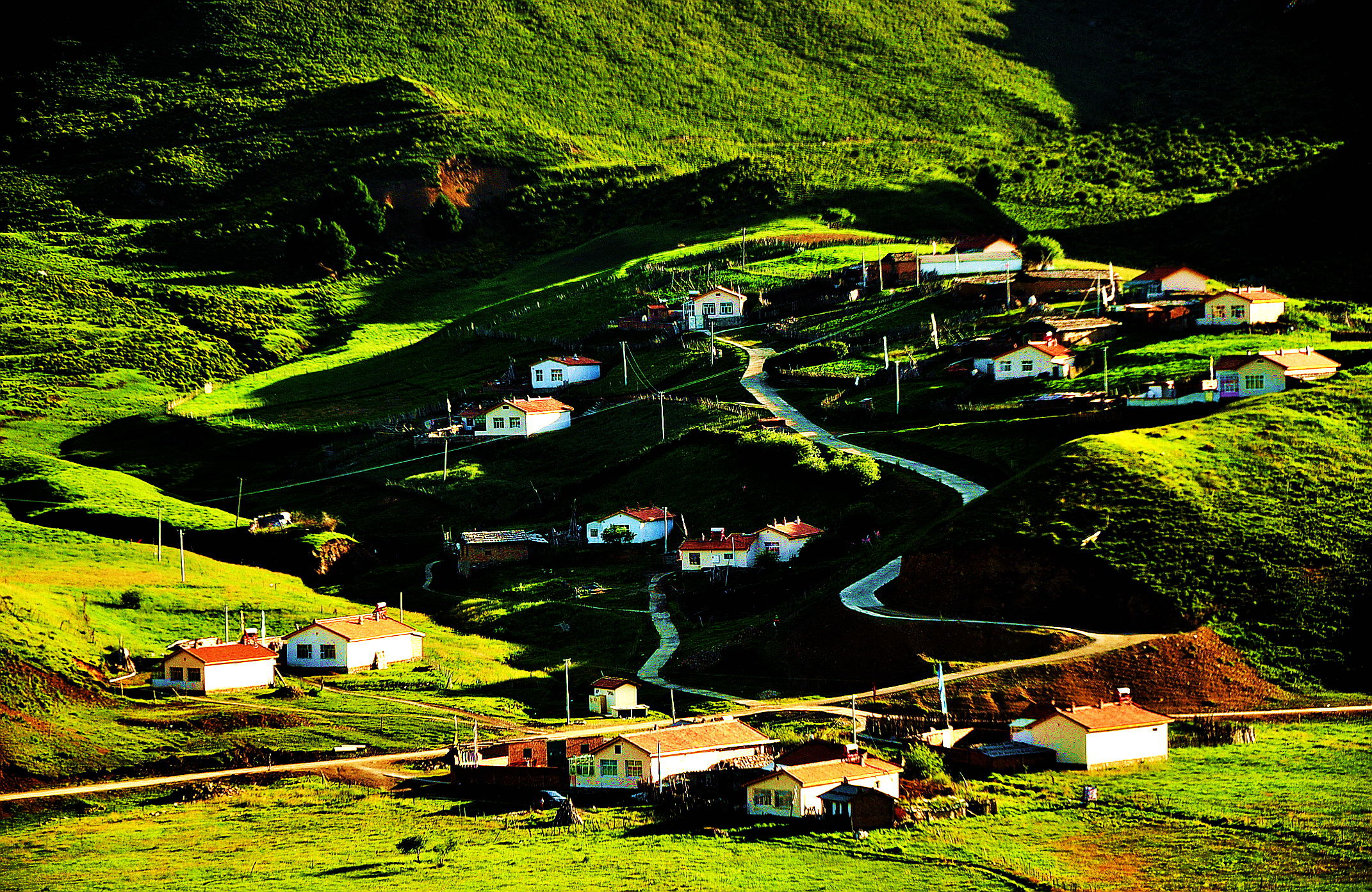 甘南之行 551.jpg