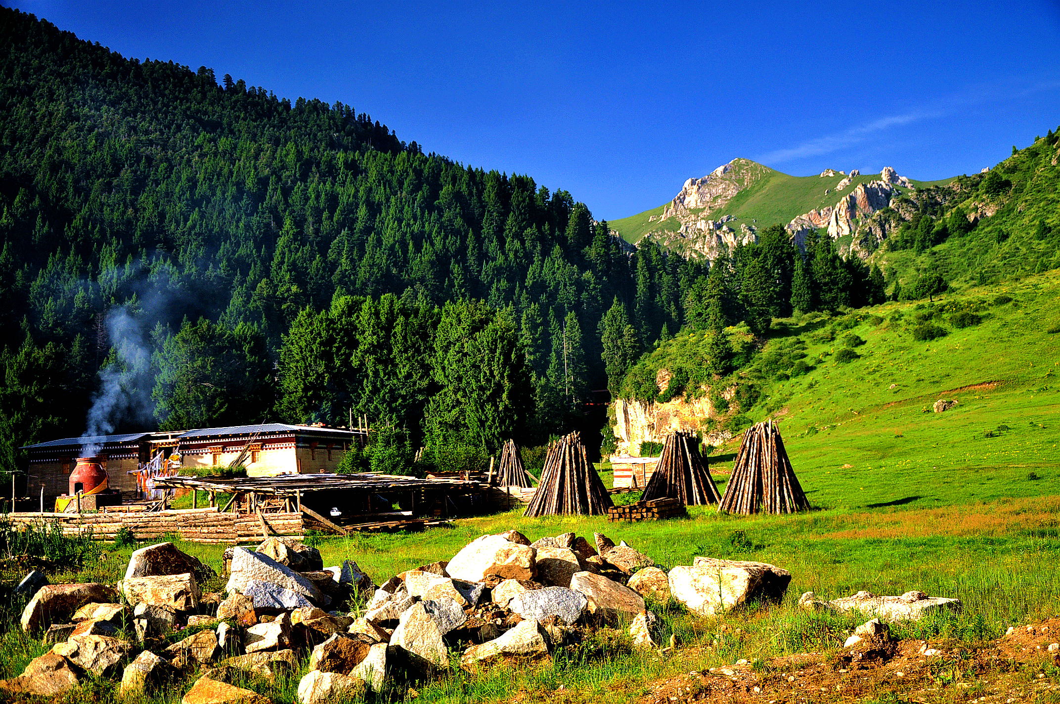 甘南之行 608.jpg