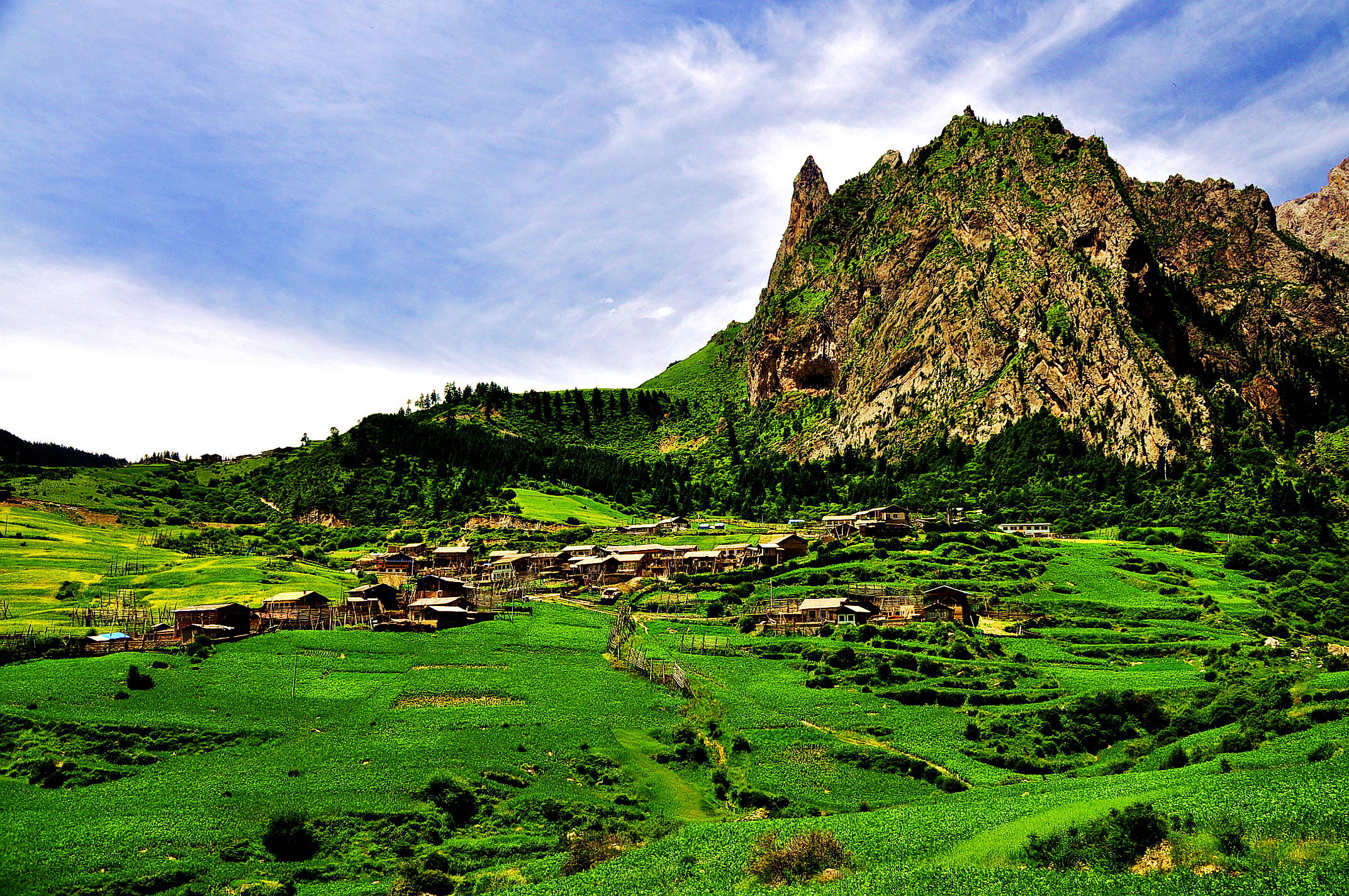 甘南之行 678.jpg