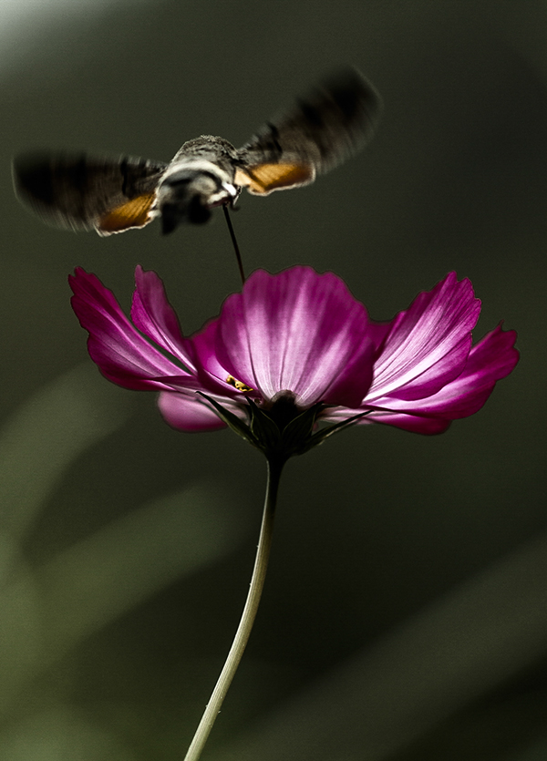 20131015_8567副本 2.jpg