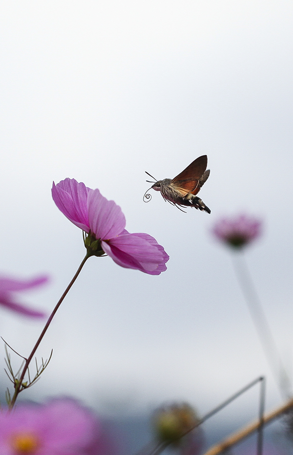 20131015_8600副本 2.jpg