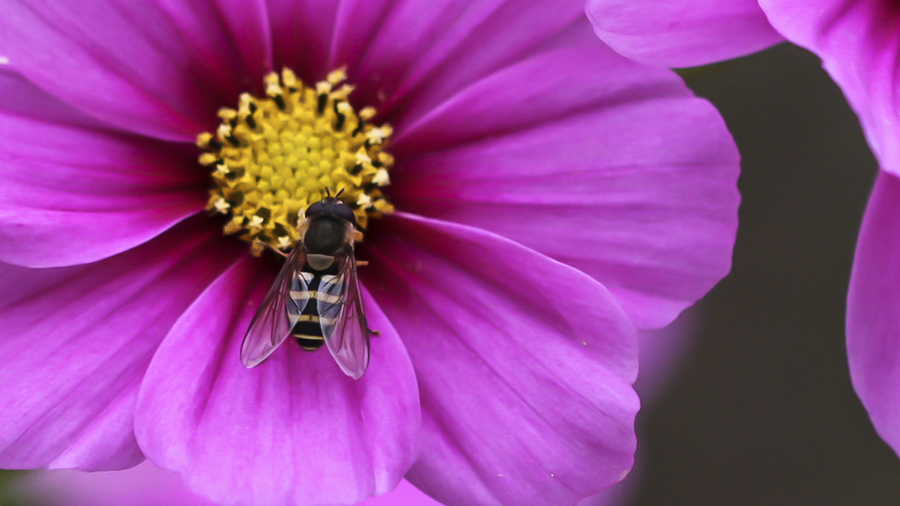 20131015_8398副本 2.jpg