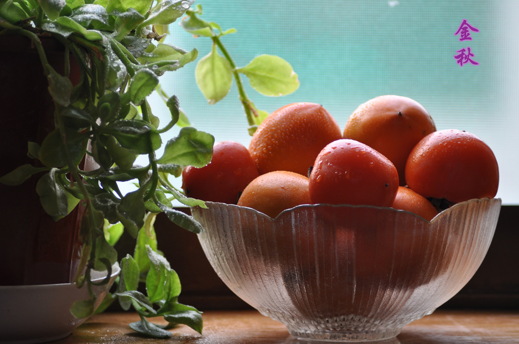 金秋_副本_副本.jpg