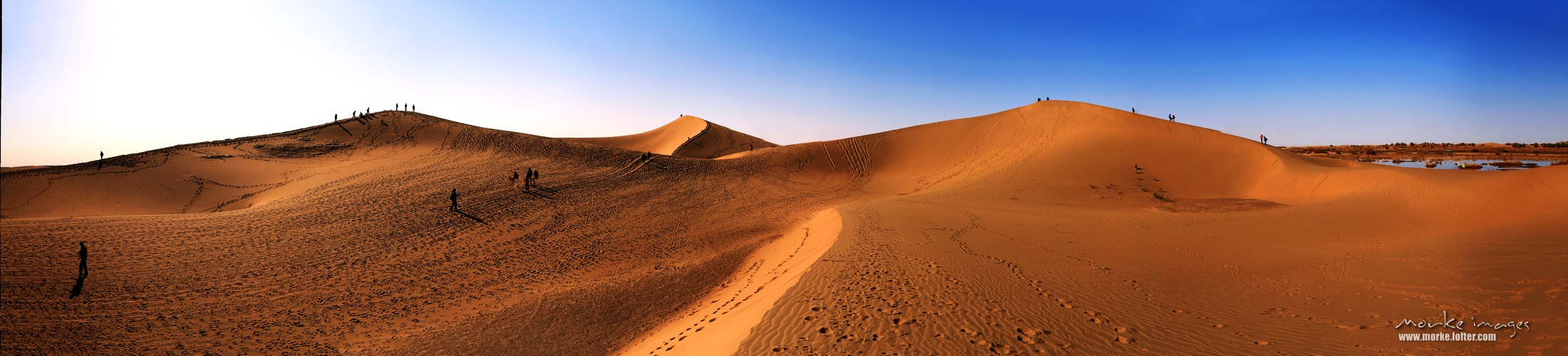 1G8A7299a Panorama.jpg