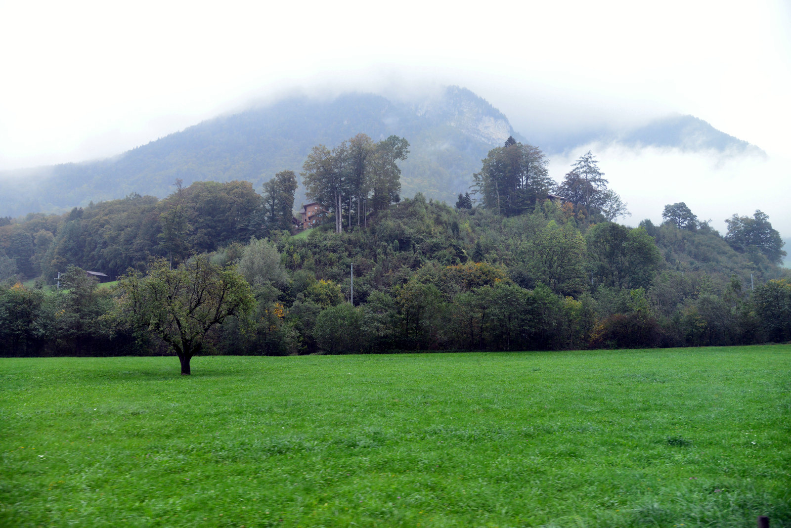 DSC_9957.JPG