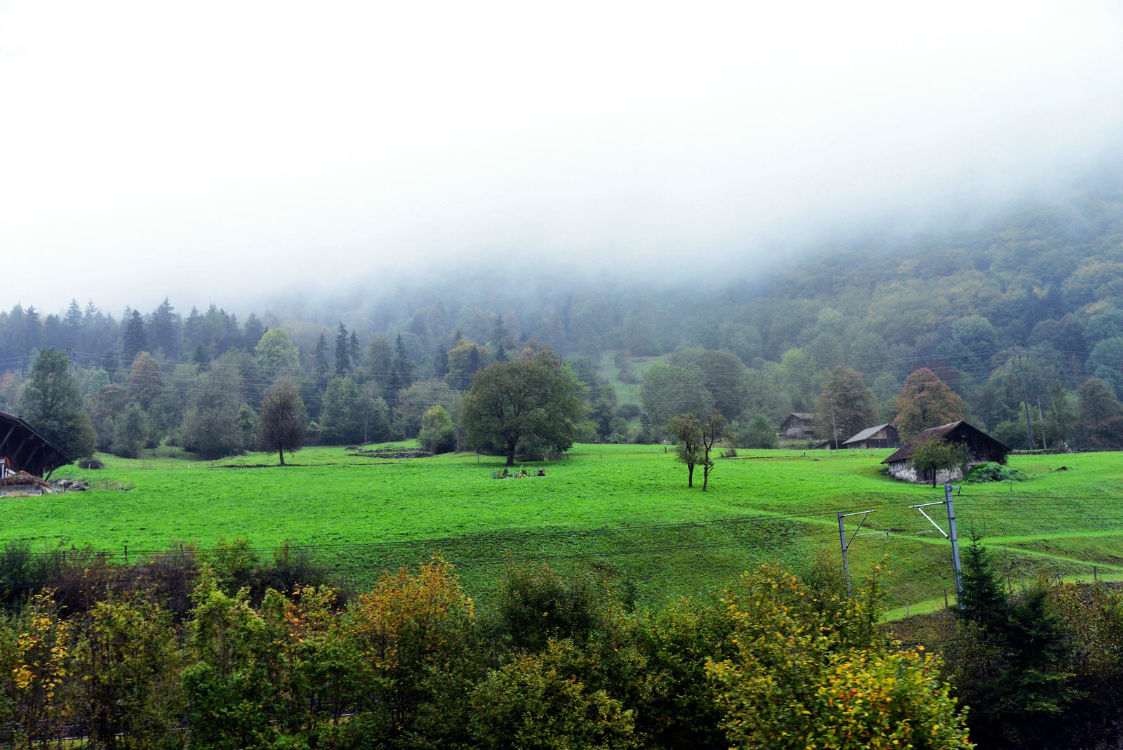 DSC_9959.JPG