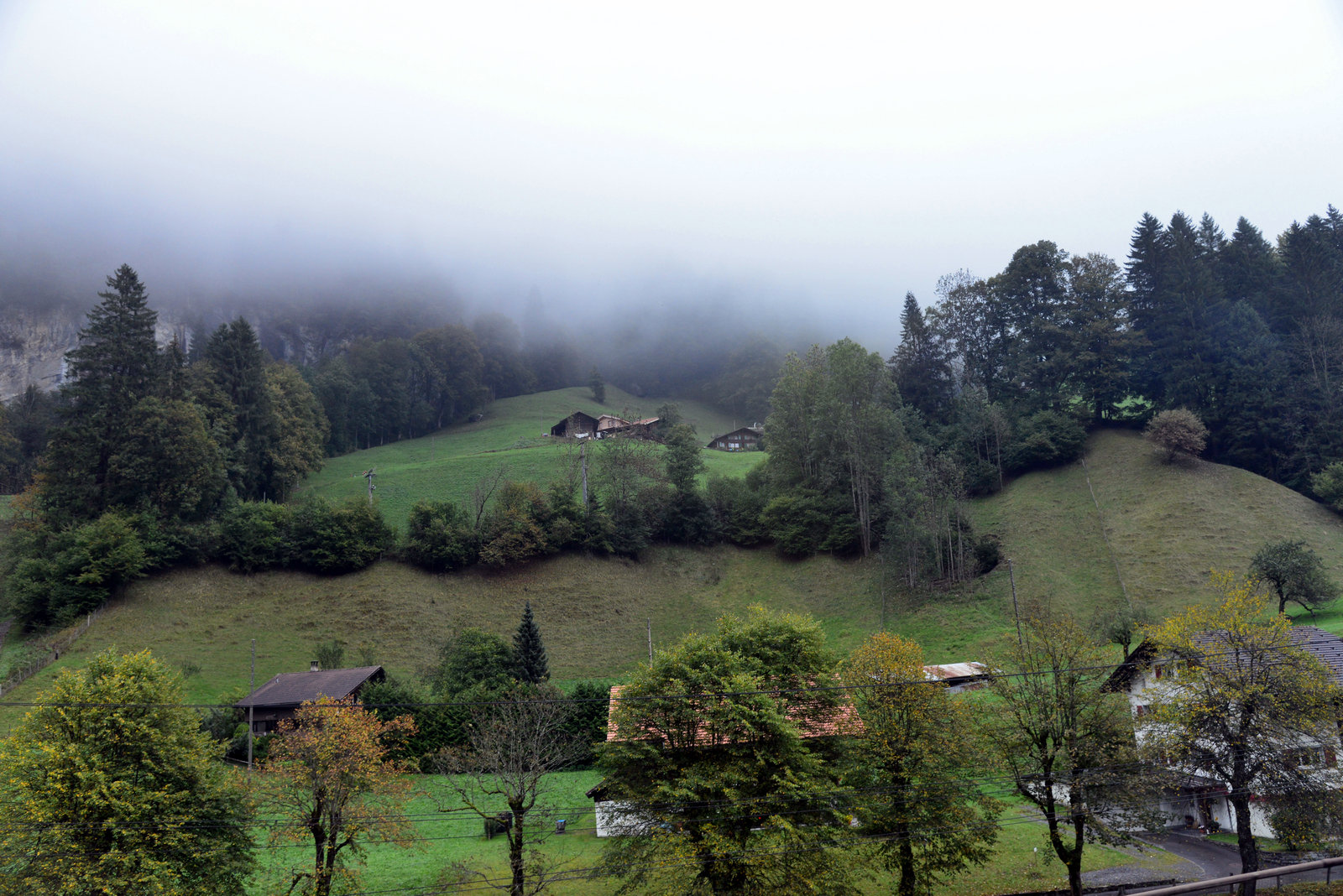 DSC_9961.JPG