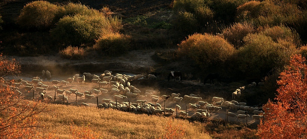 坝上(二） 185BA.jpg