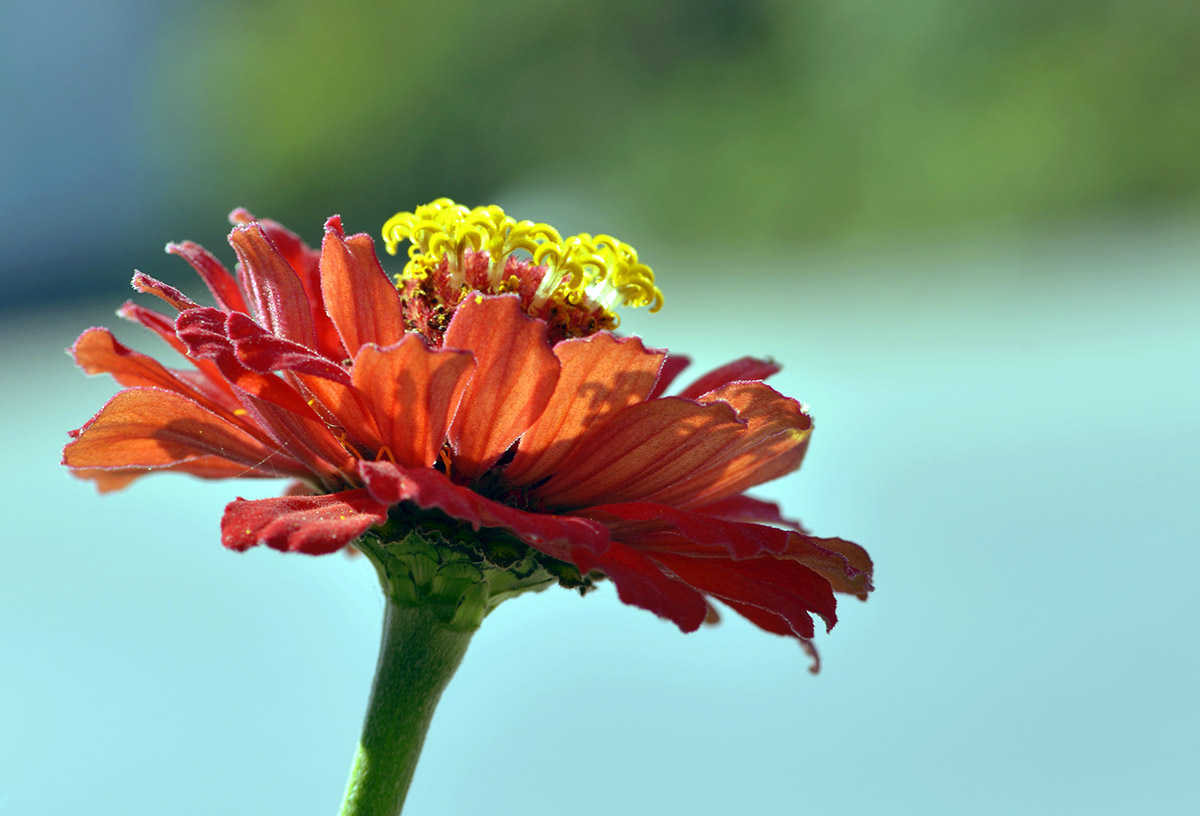 _DSC1979 (105)副本.jpg