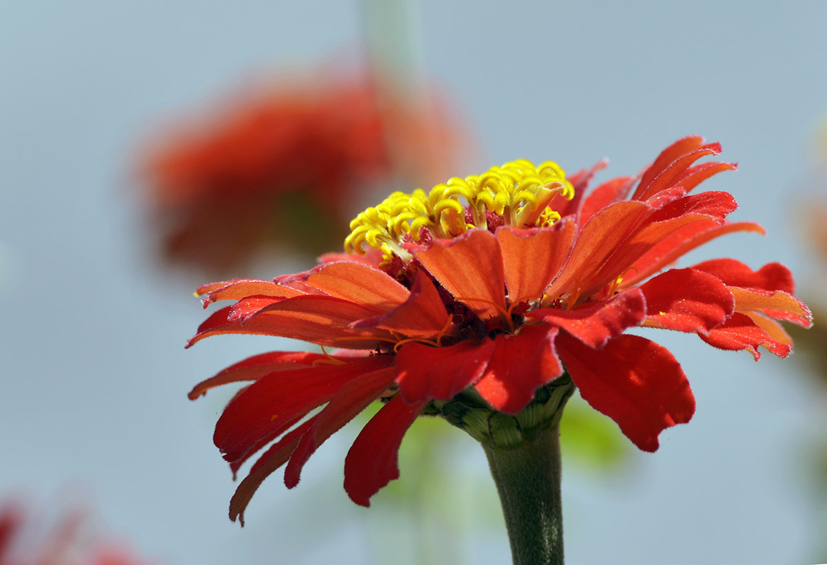 _DSC1978 (104)副本.jpg