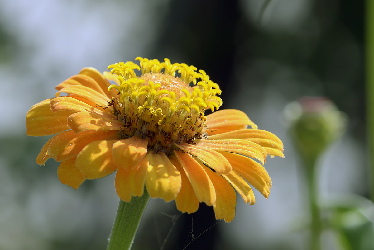 _DSC1976 (102)副本.jpg