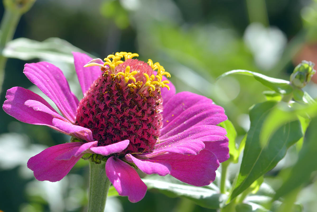 _DSC1975 (101)副本.jpg