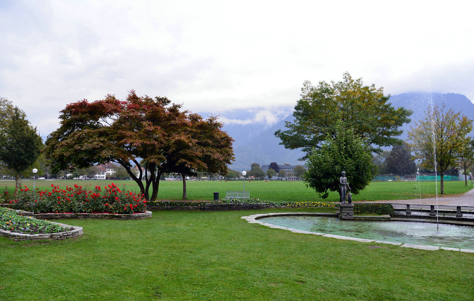 DSC_0348.JPG
