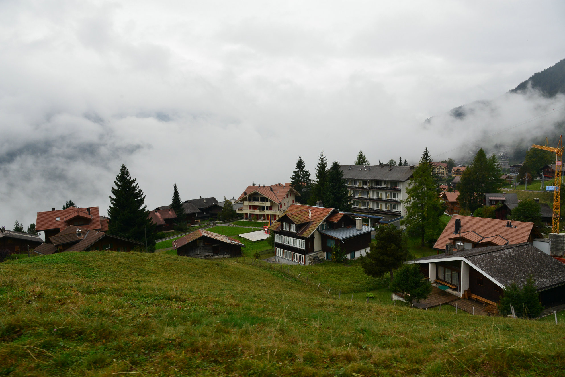 DSC_0232.JPG