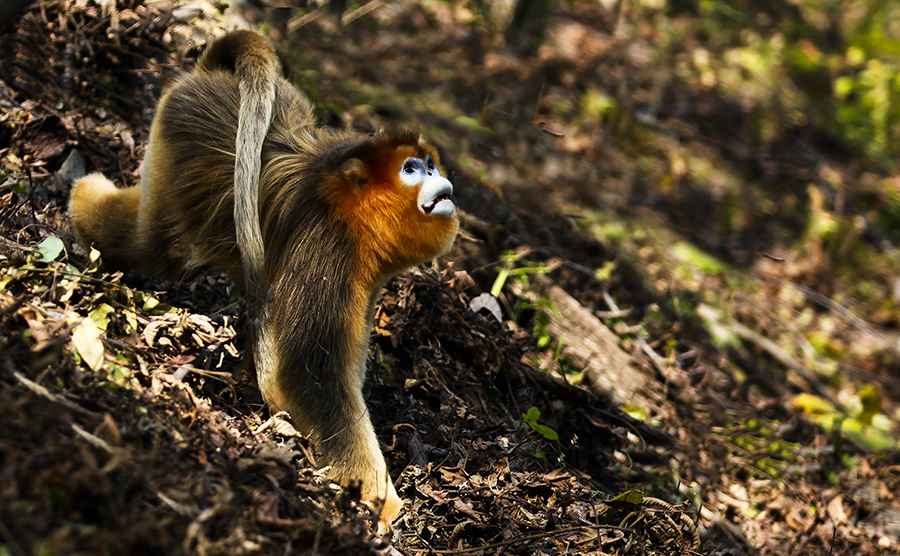 20131019_9143副本 2.jpg