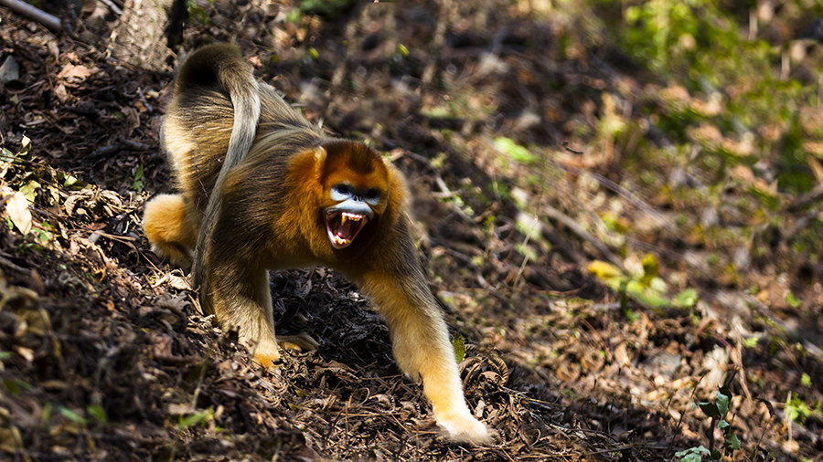 20131019_9145副本 2.jpg