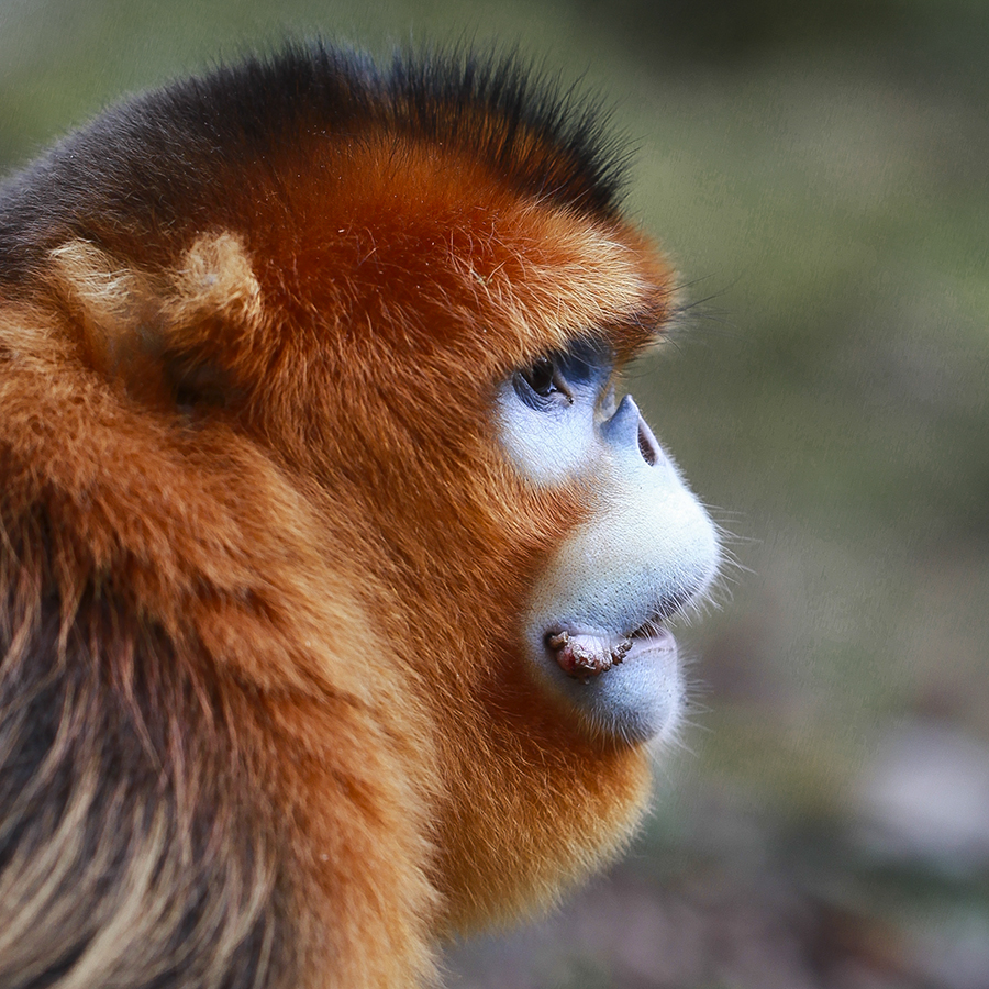 20131019_9416副本 2.jpg