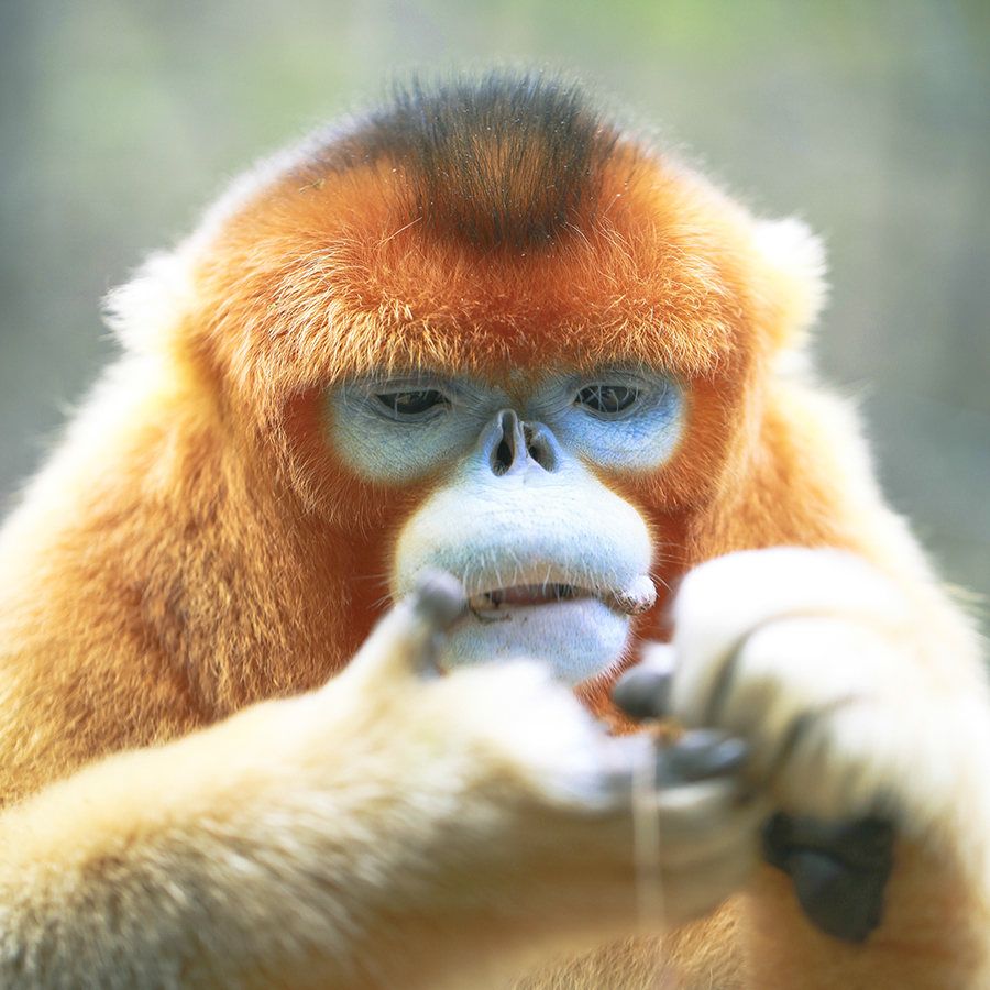 20131019_9454副本 3.jpg