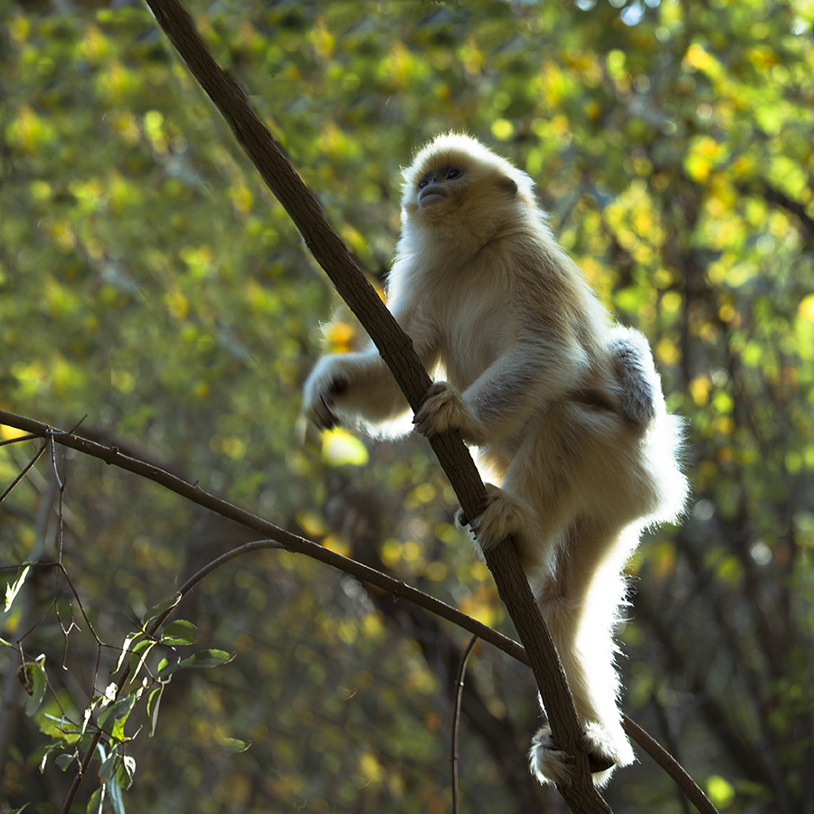 20131019_9133副本 3.jpg