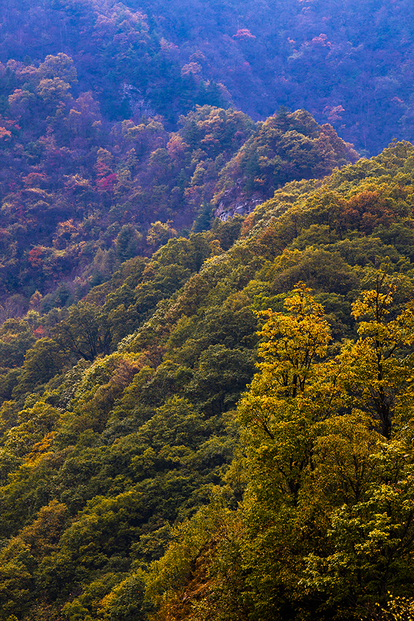 20131020_8963.jpg