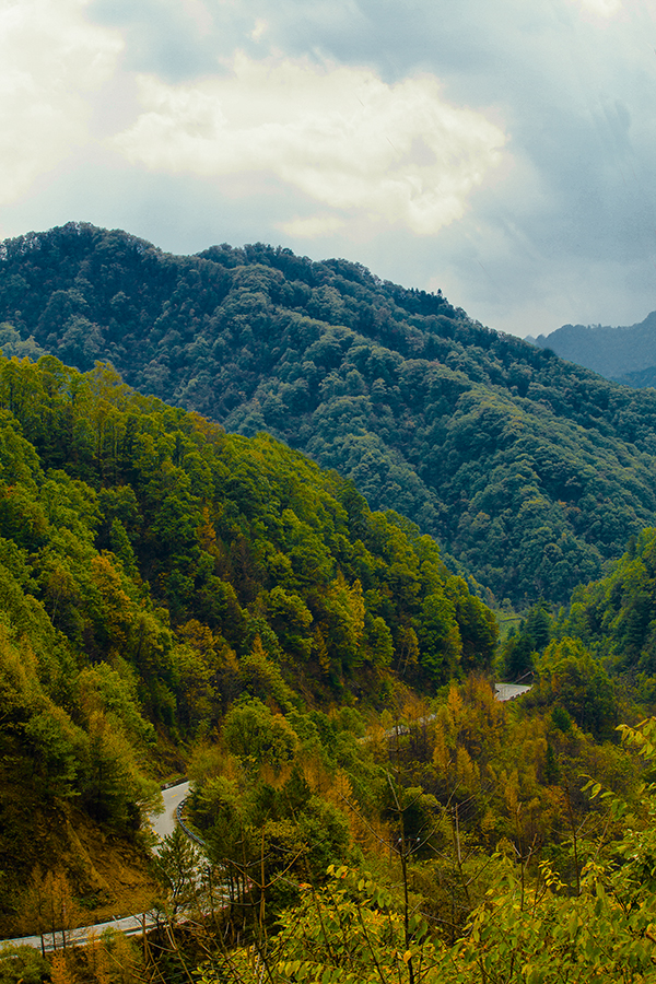 20131020_8976.jpg