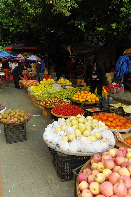 IMGP2177 (复制).JPG