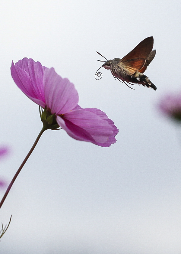 20131015_8600副本 2.jpg