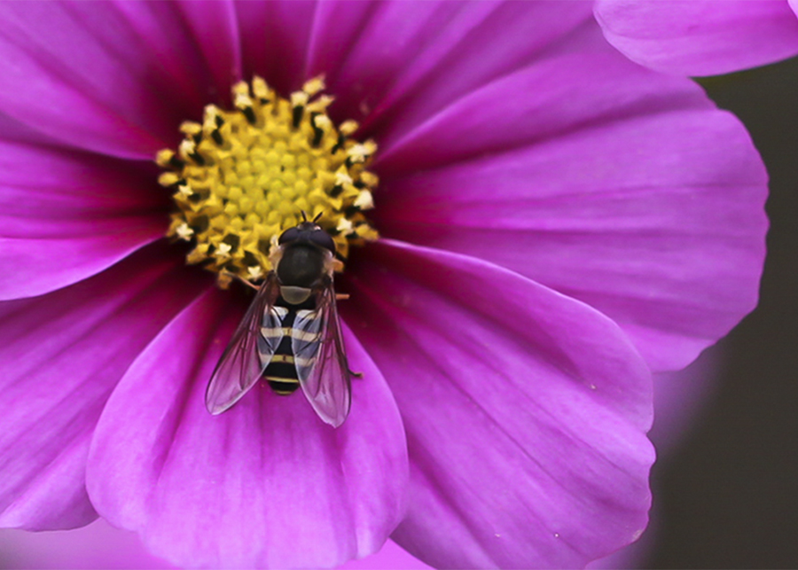 20131015_8398副本 2副本.jpg