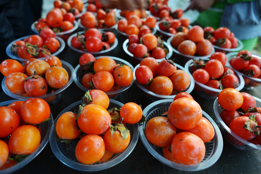 华东旅游照片 705.JPG