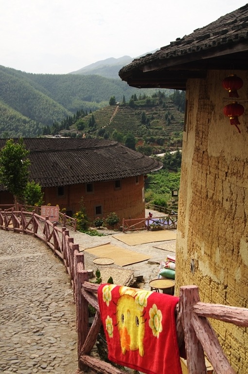 IMGP2432 (复制) (复制).JPG