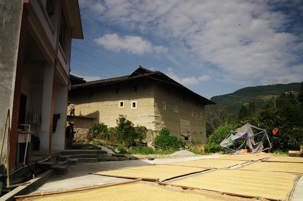 IMGP2476 (复制) (复制).JPG