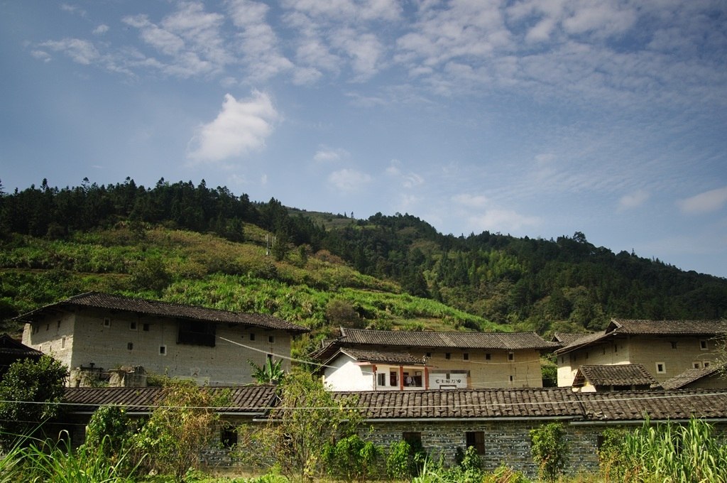 IMGP2479 (复制) (复制).JPG