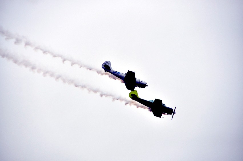 DSC_0090_conew1.jpg