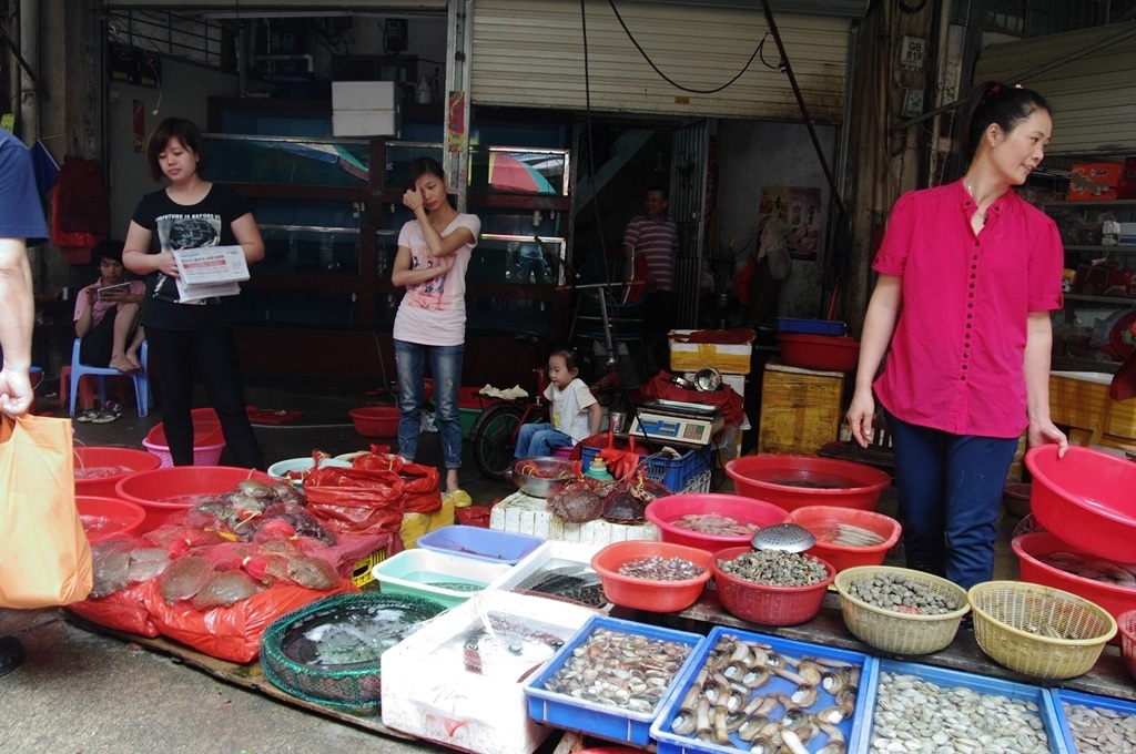 IMGP2202 (复制) (复制).JPG