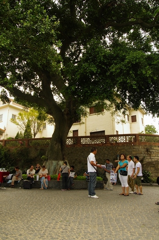 IMGP2229 (复制) (复制).JPG