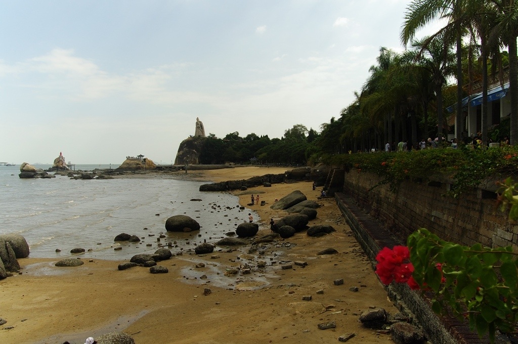 IMGP2230 (复制) (复制).JPG