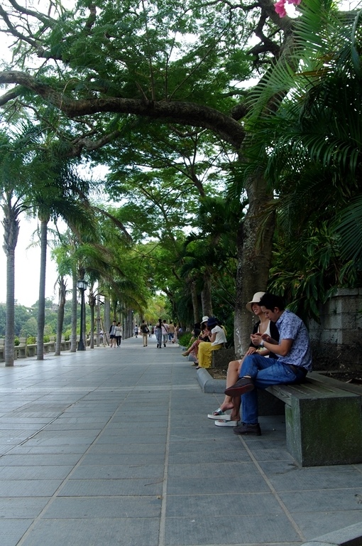 IMGP2232 (复制) (复制).JPG