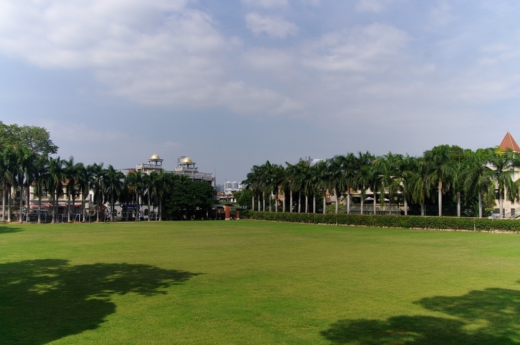 IMGP2245 (复制) (复制).JPG