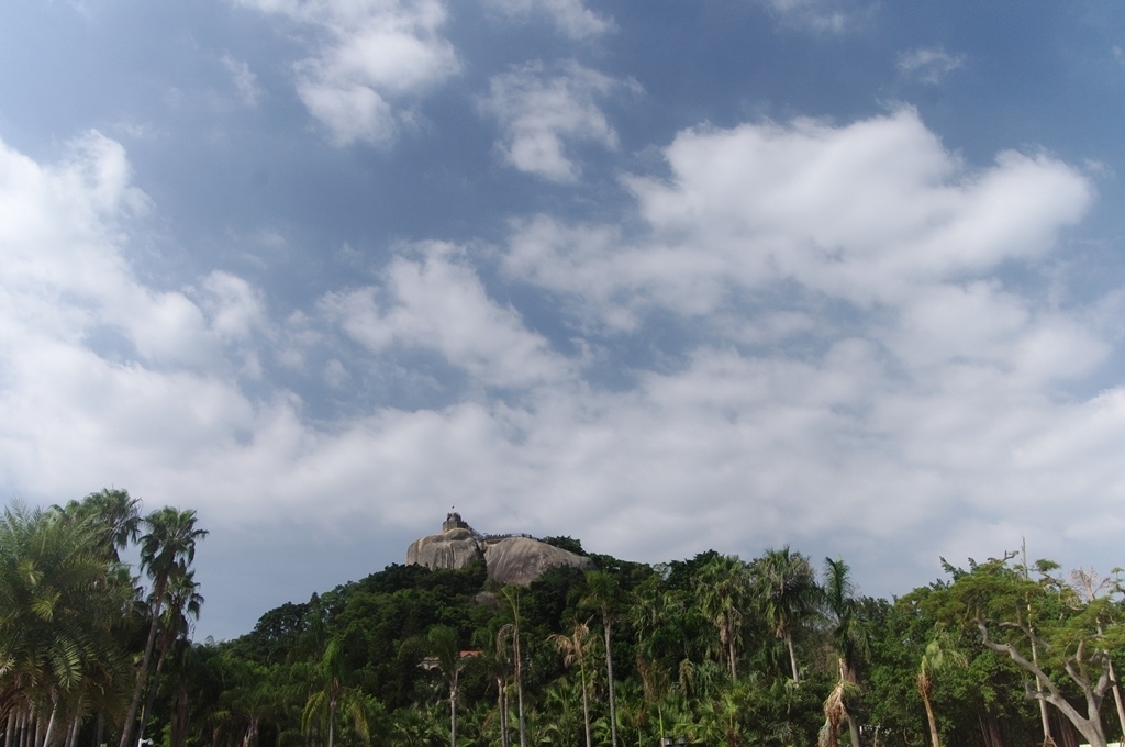 IMGP2260 (复制) (复制).JPG