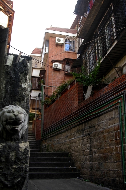 IMGP2271 (复制) (复制).JPG