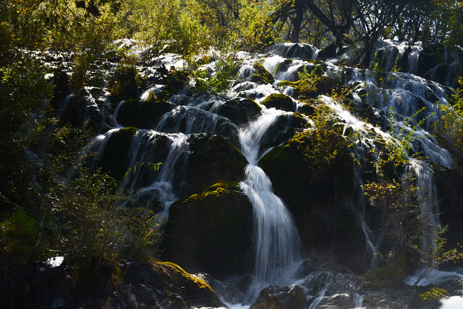DSC_1281.JPG
