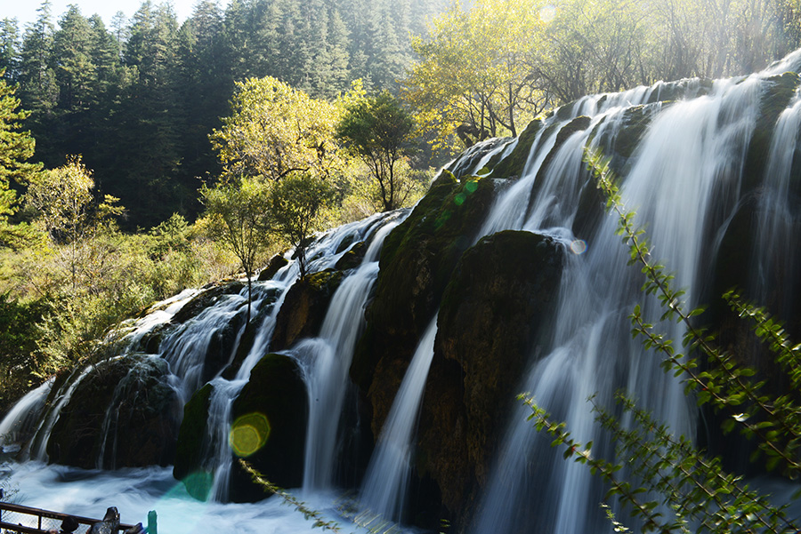 DSC_1315.JPG