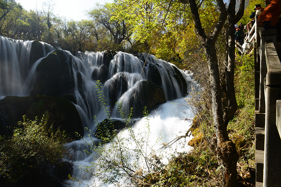 DSC_1317.JPG