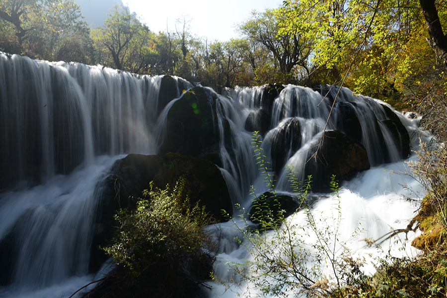 DSC_1319.JPG
