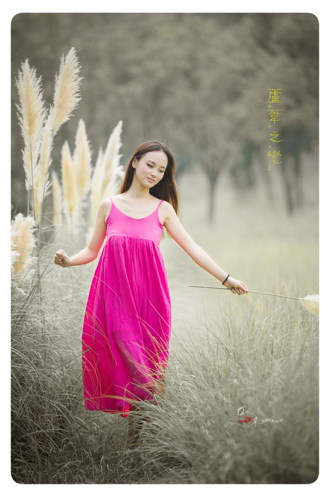20130901_7156.jpg